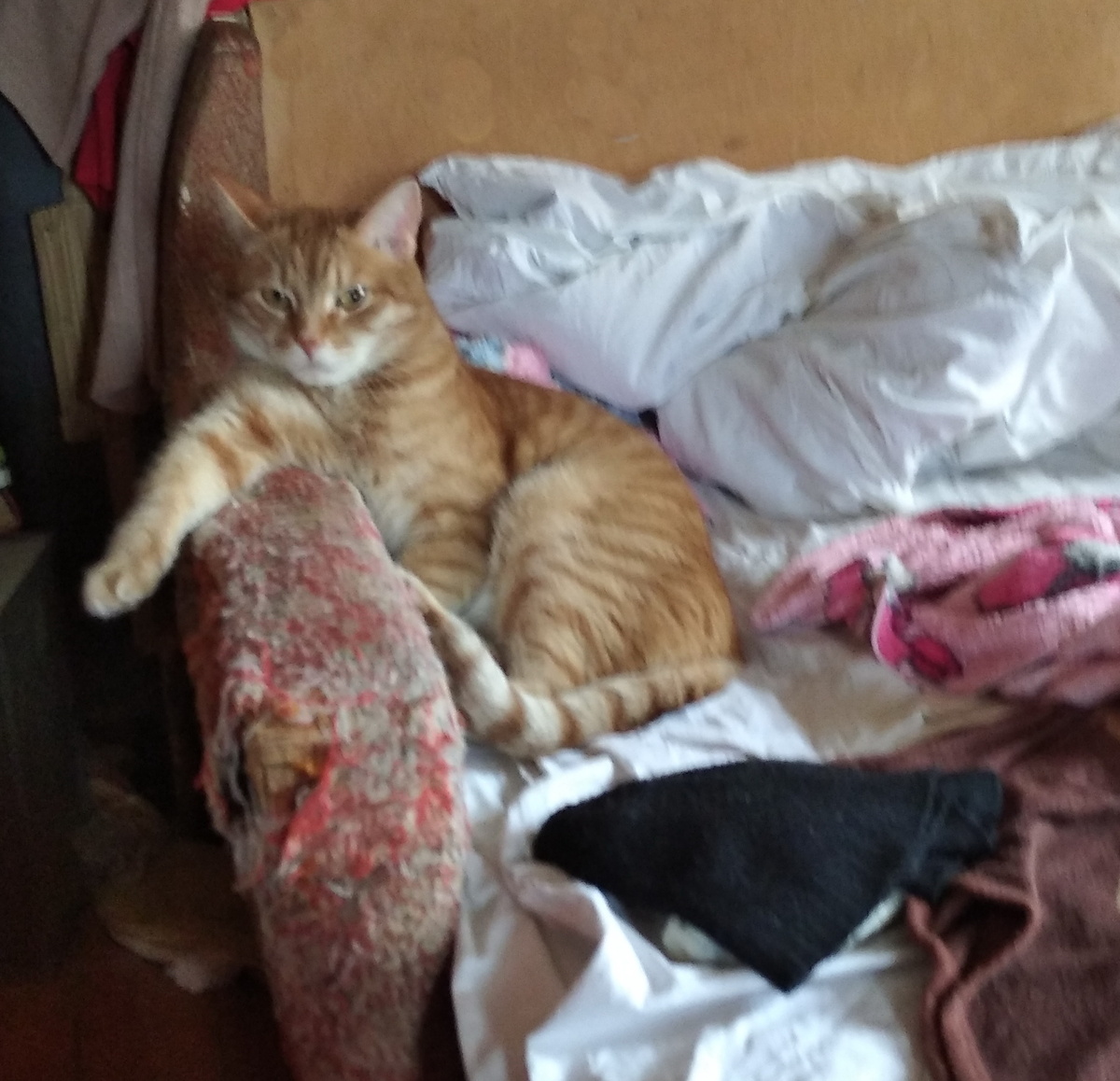 личное фото