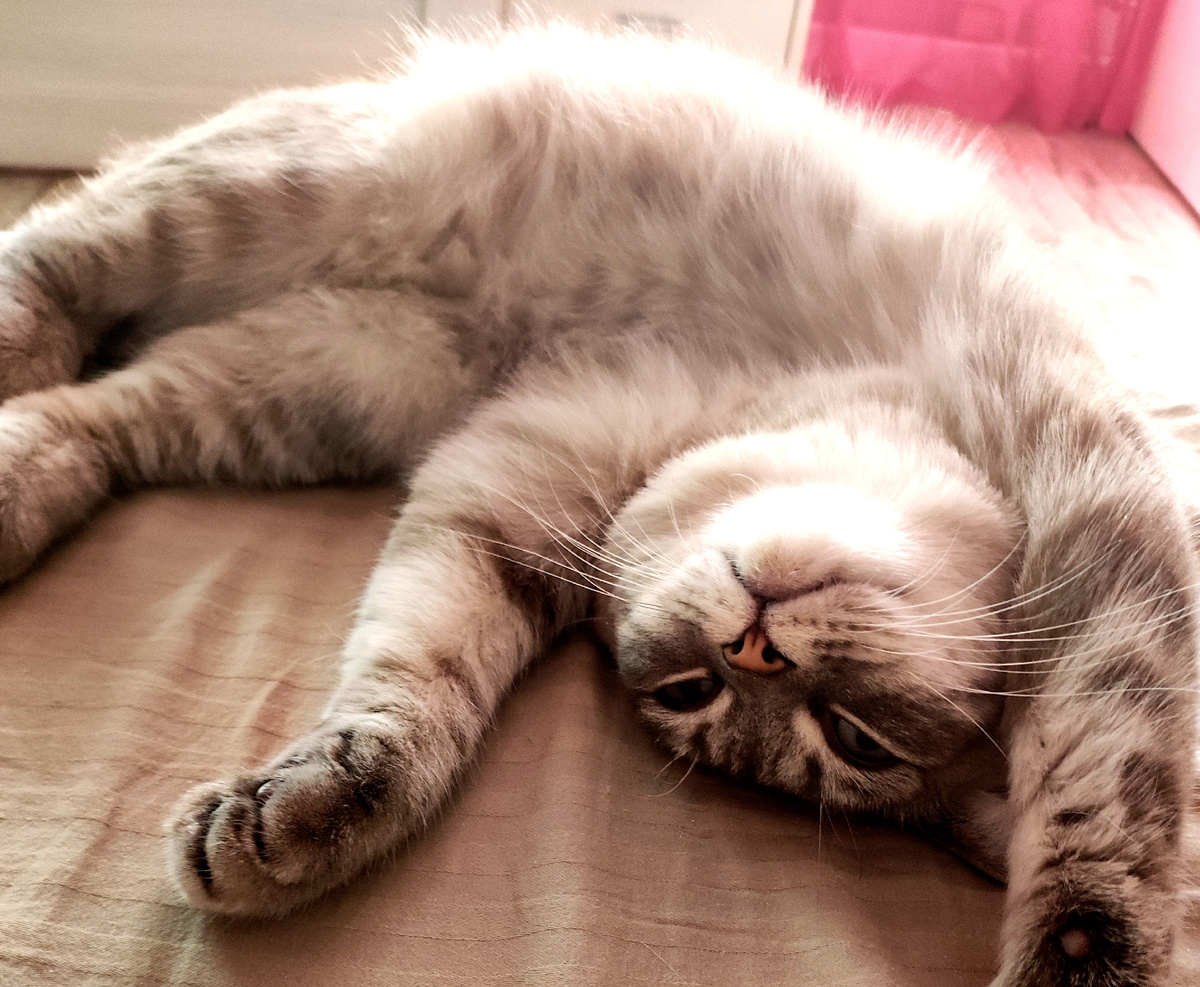 Просыпается моя радость 😻))