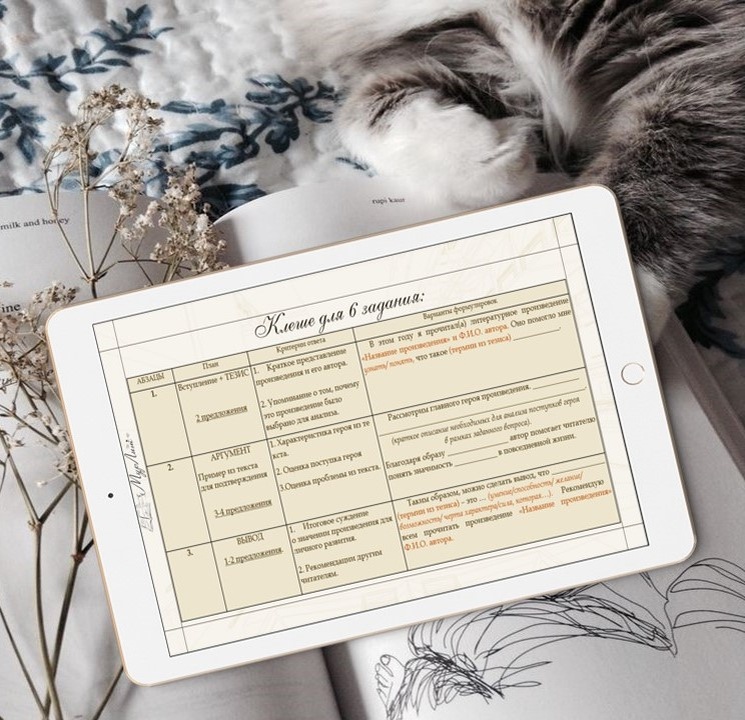 Слайд из презентационного материала