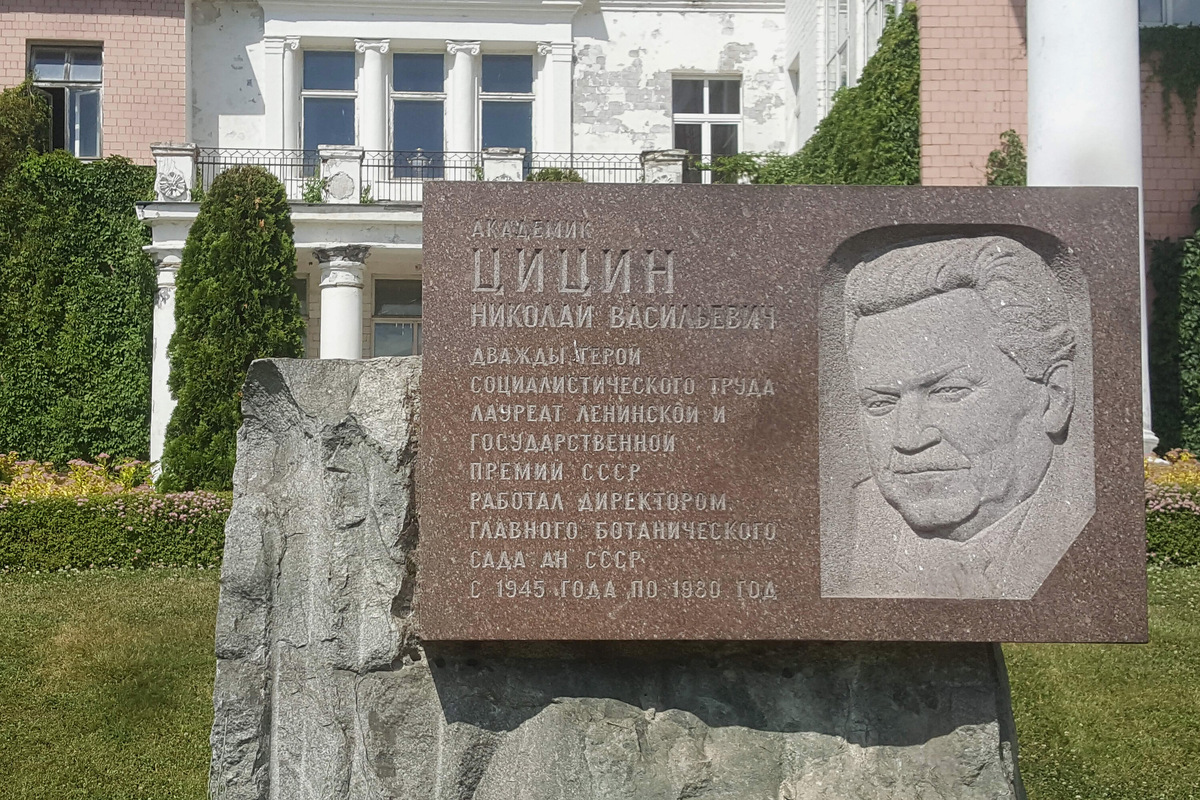 Николай Васильевич руководил ГБС 35 лет, и в 1991 году саду присвоили его имя. Фото: Ingimar / Wikimedia