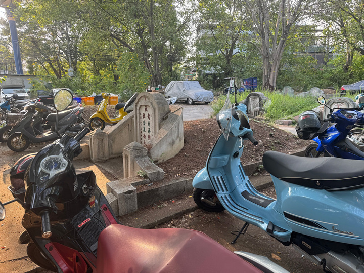     Покатушки на кладбище. / Ирина Боброва