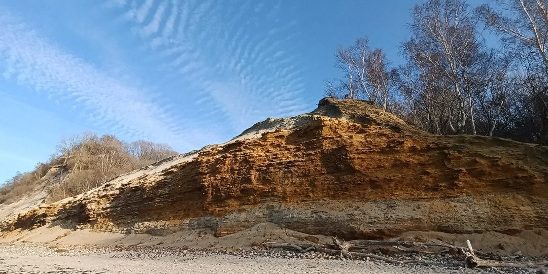 Дюна в Калиниградской области, занесенная в Красную книгу.