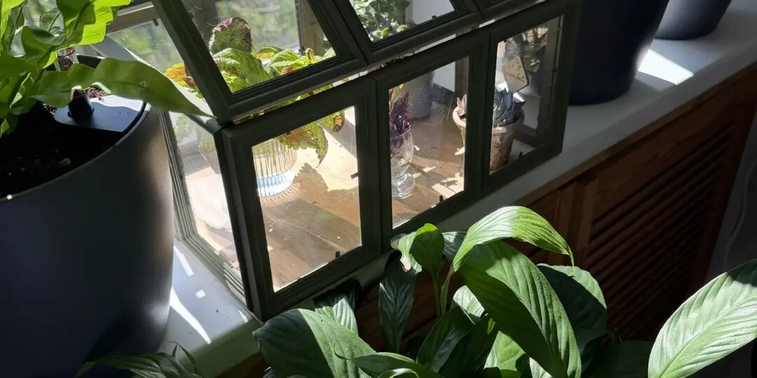 Тепличка для растений как из Pinterest!