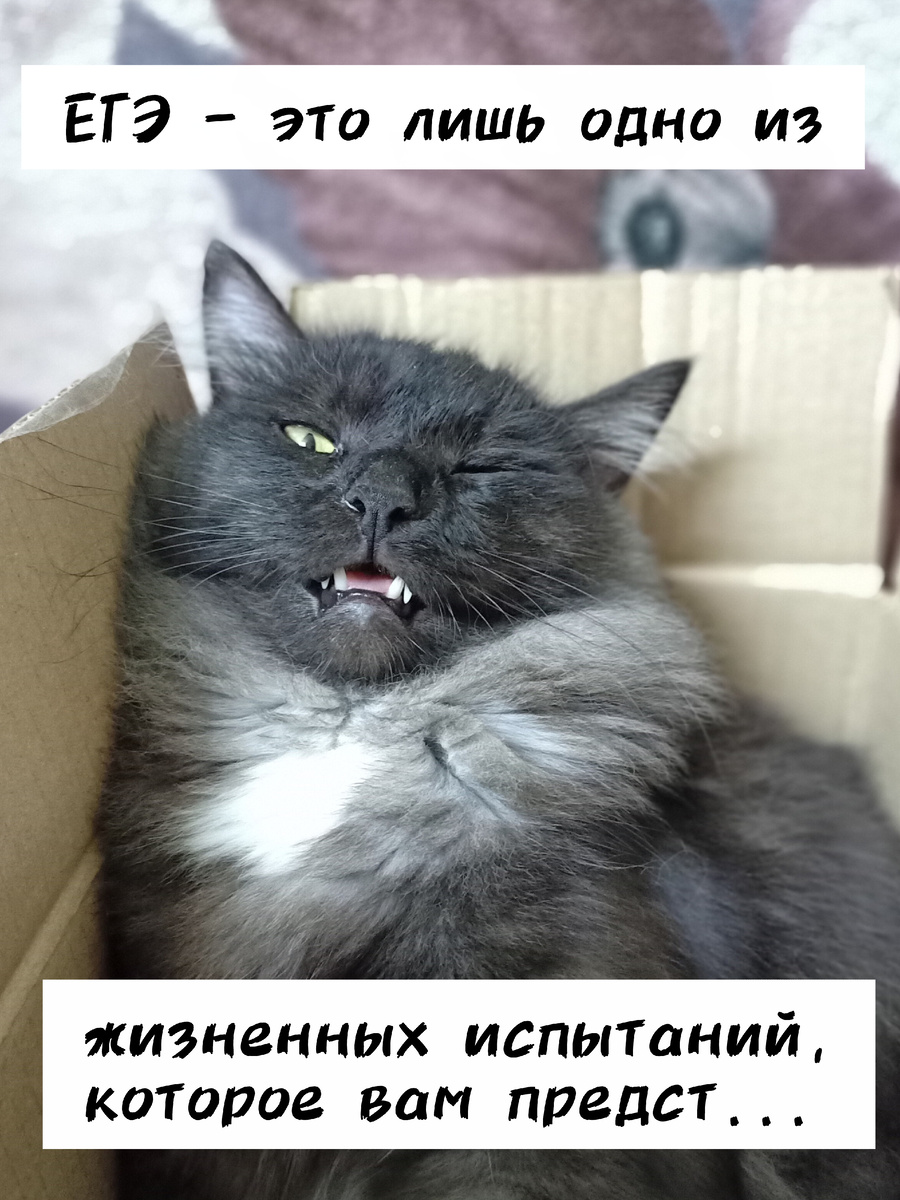Наверное, эту фразу чаще всего слышат ученики 10-11 классов 😅 Их мысли в этот момент такие: " О, неееет! Опяяяааать...."