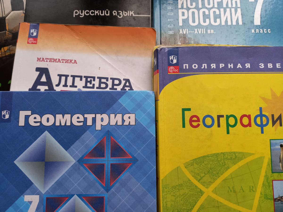 Учебники семиклассника. Фото автора.