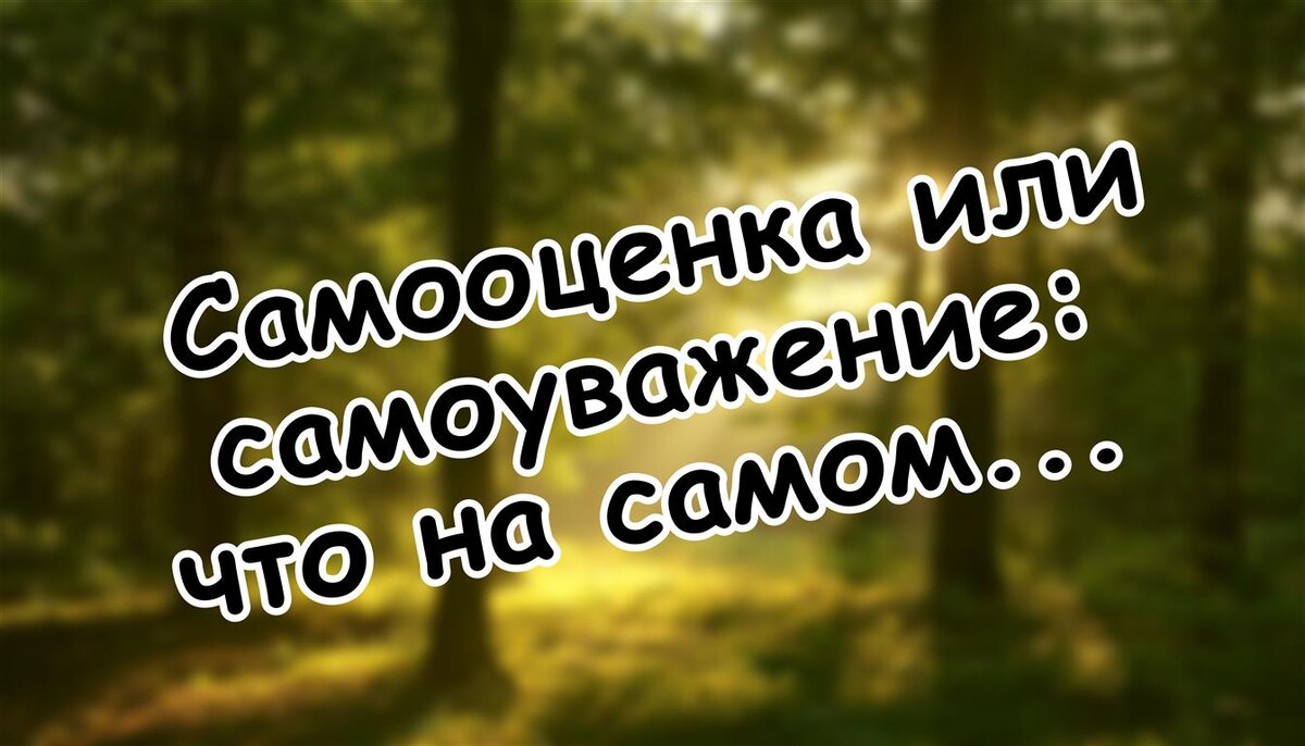 Самооценка или самоуважение: что на самом деле делает нас сильными (Источник: Яндекс Картинки)