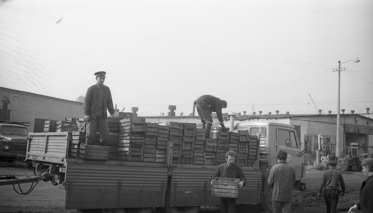 Выгрузка овощей