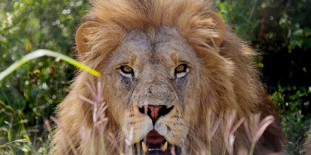 Меня предавали люди, за которых я была бы готова умереть