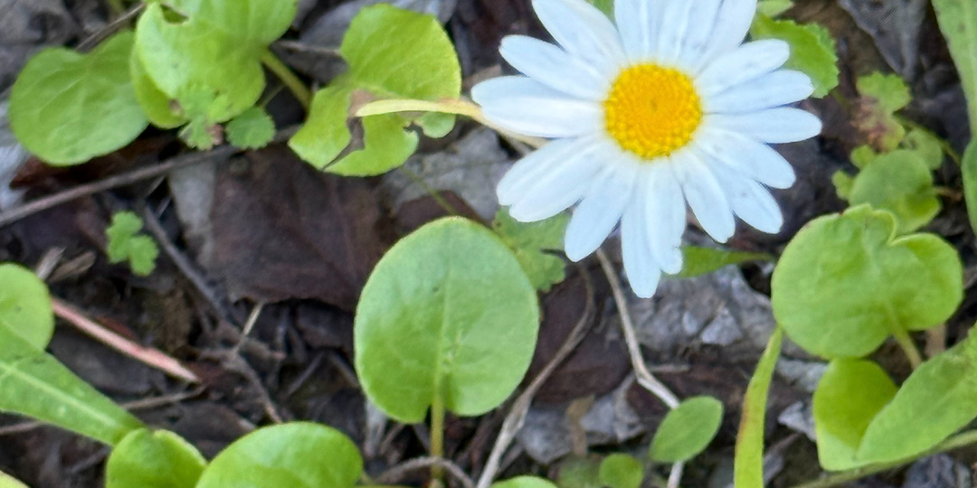 Отдыхать – не работать