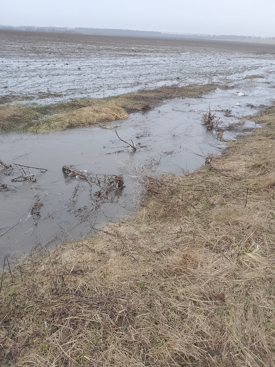 Вода в поле
