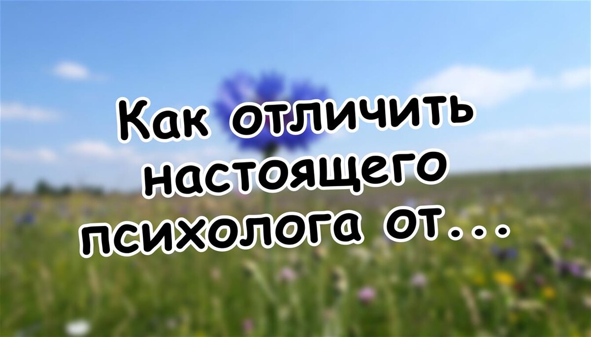 Как отличить настоящего психолога от инфоцыгана: 5 признаков, которые не обманут (Источник: Яндекс Картинки)
