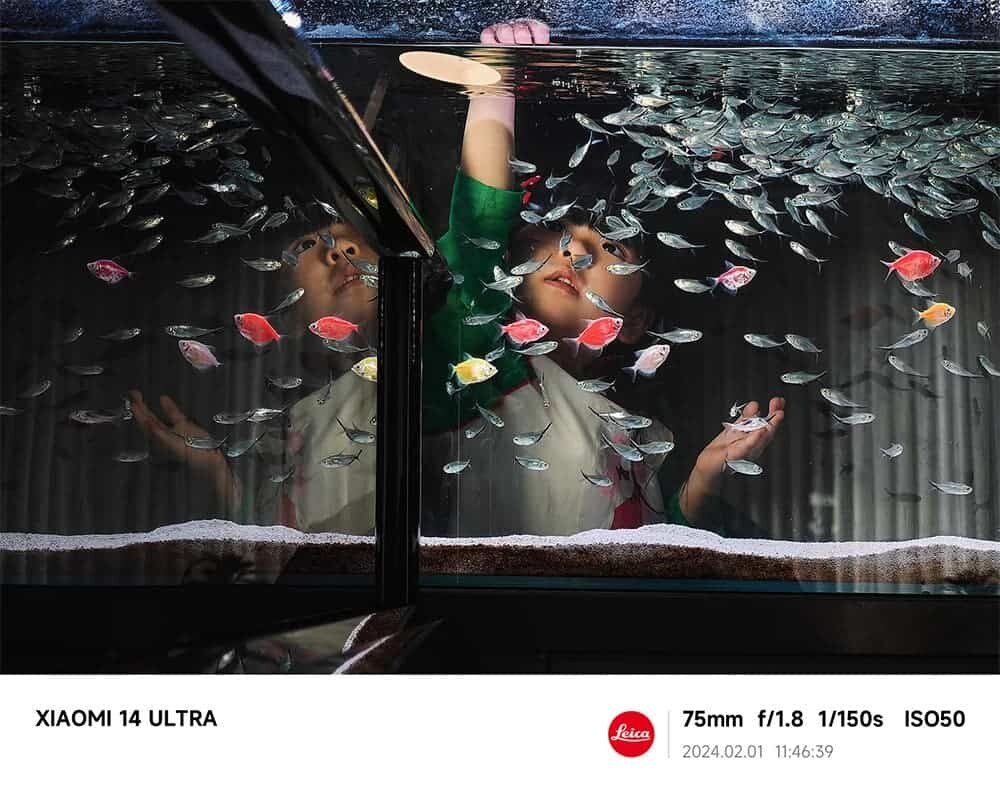 фото взято из поисковой системы Яндекс