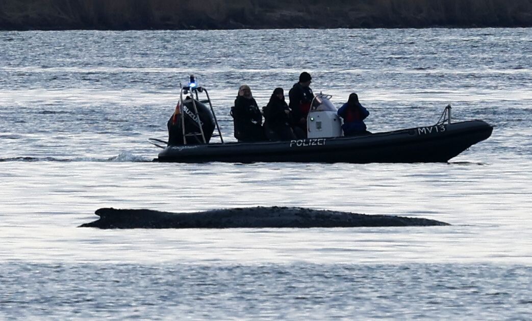     / Источник: © Global Look Press