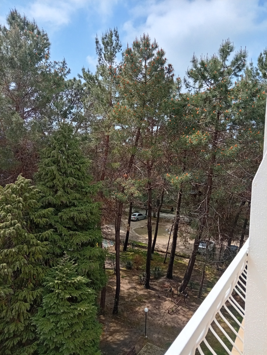 Вид с балкона.