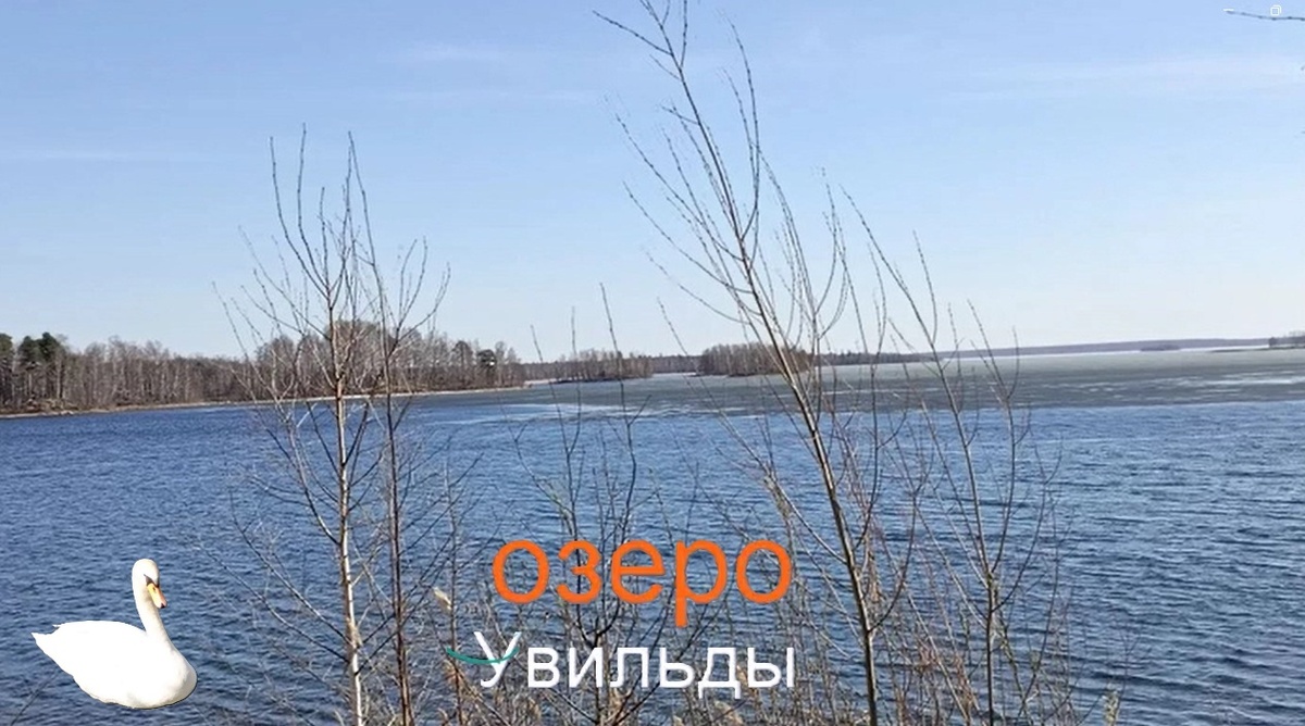 фото из личного архива