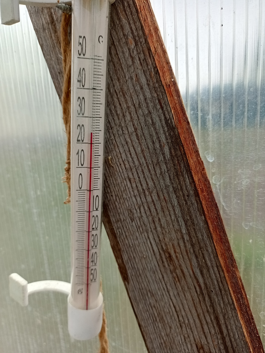 Ещё не жарко, но надо открыть форточку для проветривания теплицы.