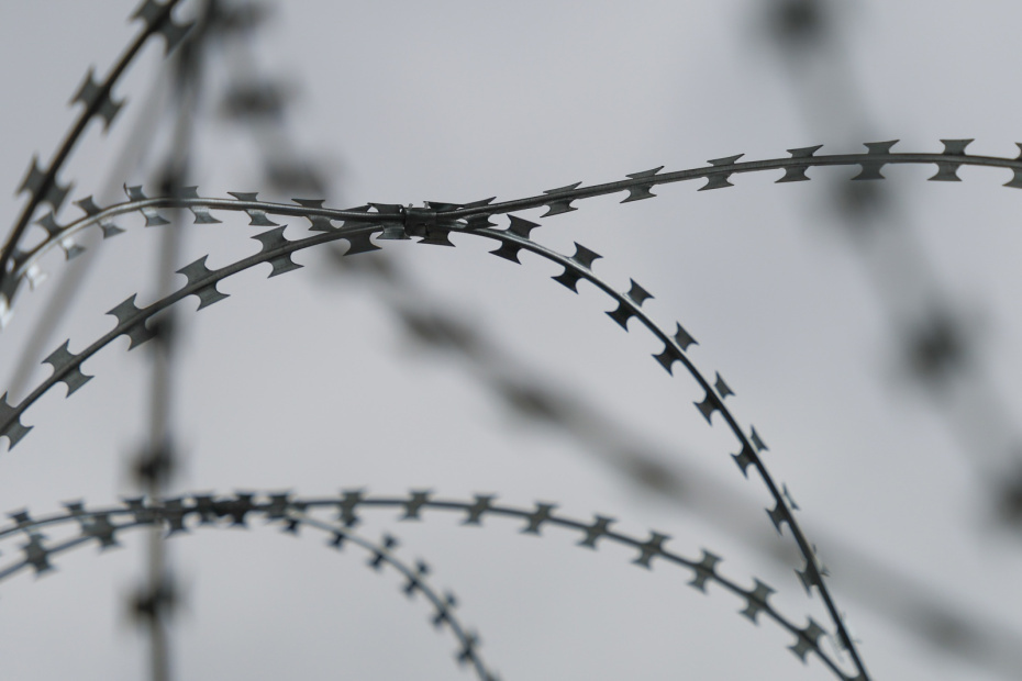    Алексей Белкин/NEWS.ru