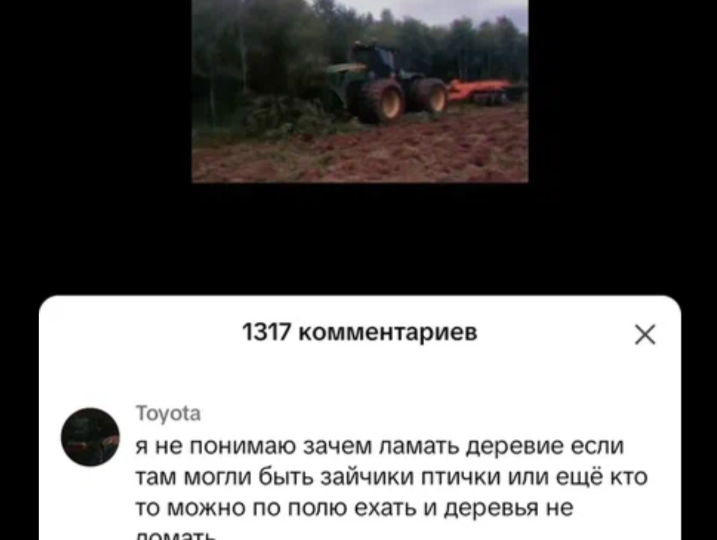 Деревенская "жестокость", или Правда жизни