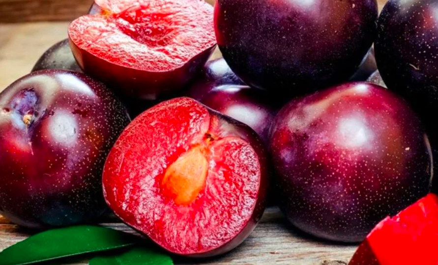 Шарафуга: экзотический гибрид на вашем участке