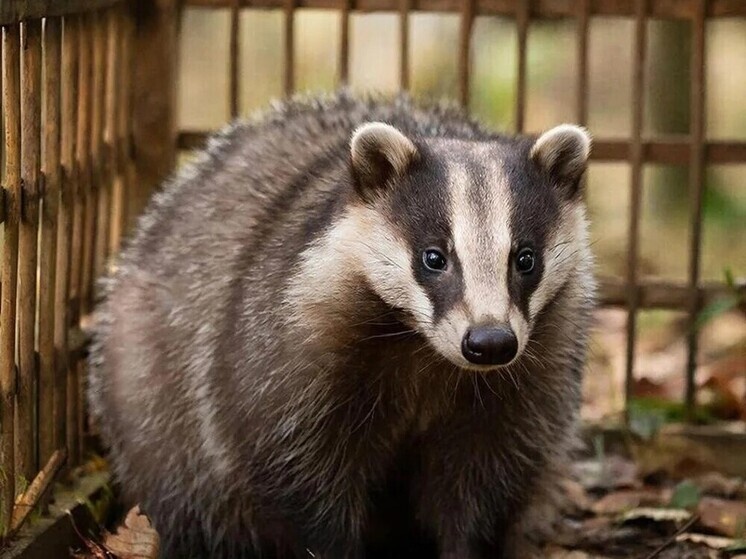     Фото: Нейросеть