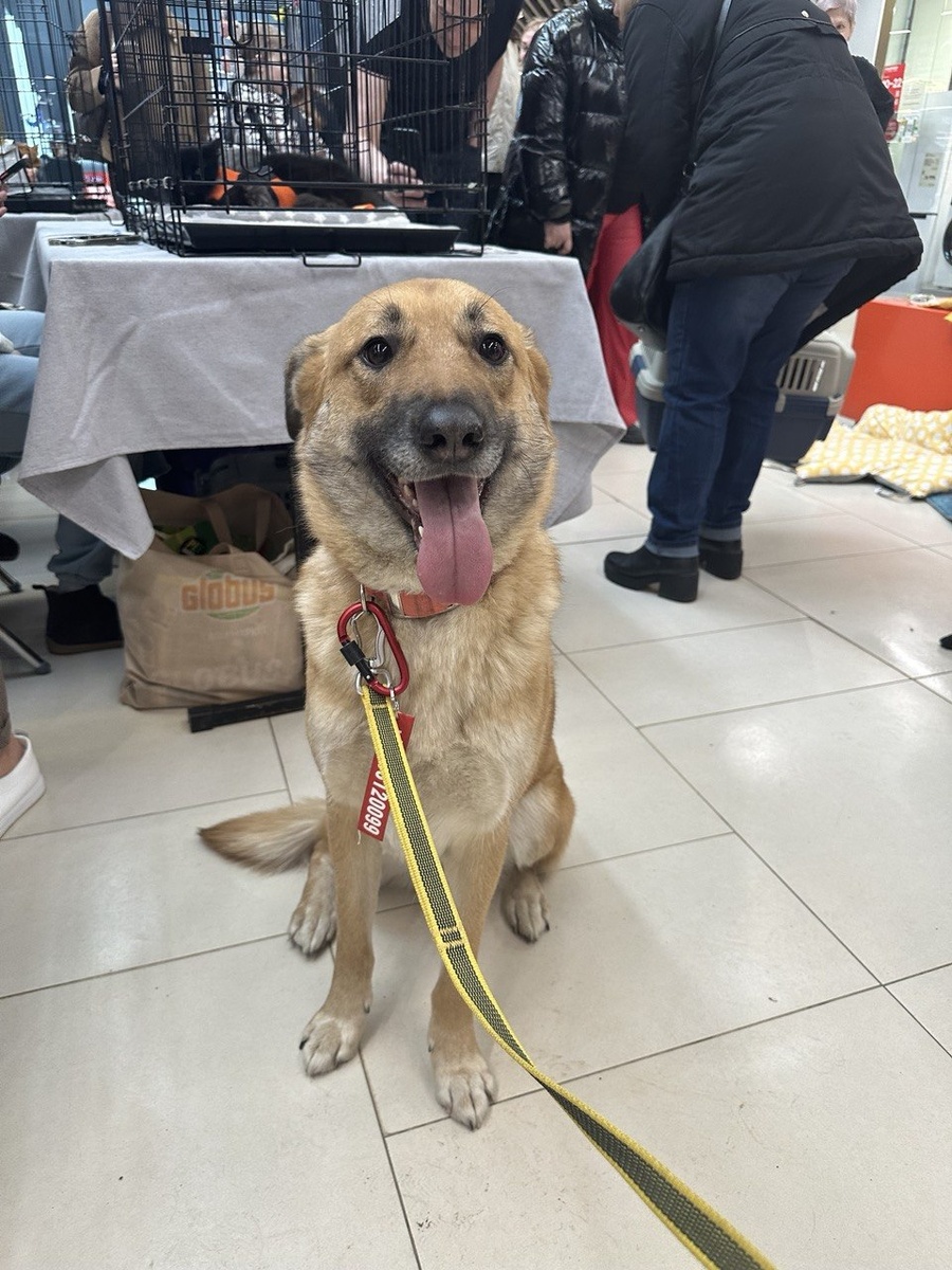 Кадры с выставки