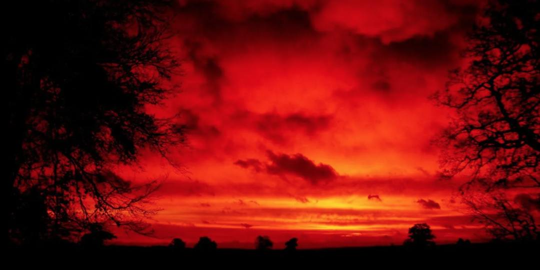 Лето будет самым аномальным за последние 120 лет: к чему готовиться