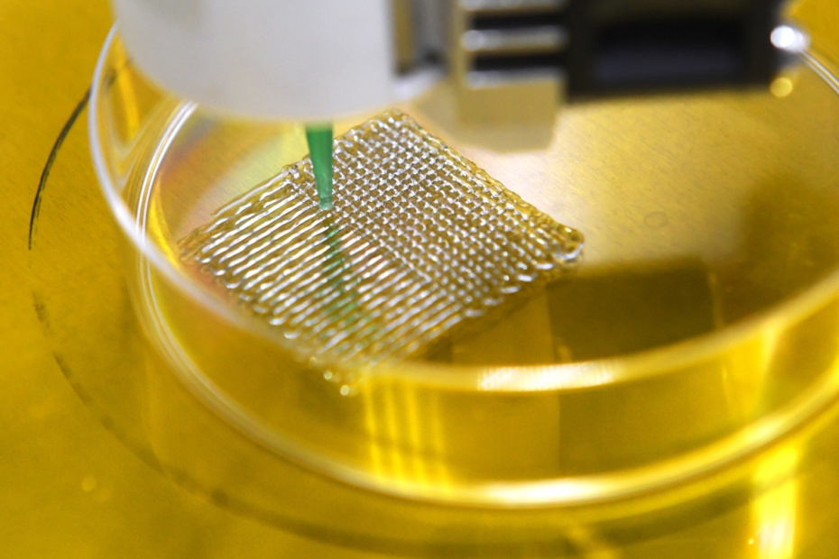    Кирилл Каллиников/РИА Новости