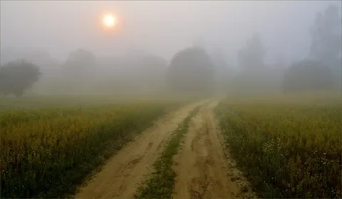 Яндекс Картинки