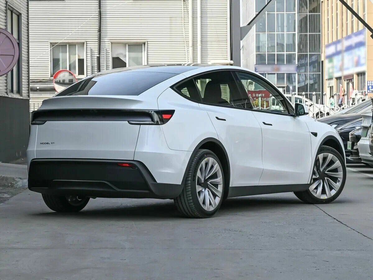 Model Y)
