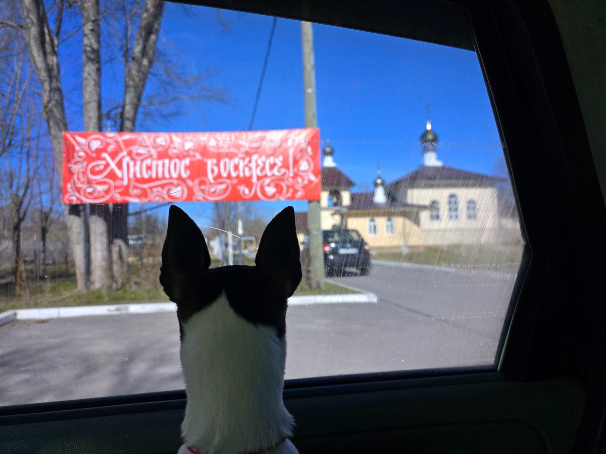 Наш верный пёс. Собакам, в отличие от кошек,  в православный храм вход запрещён.