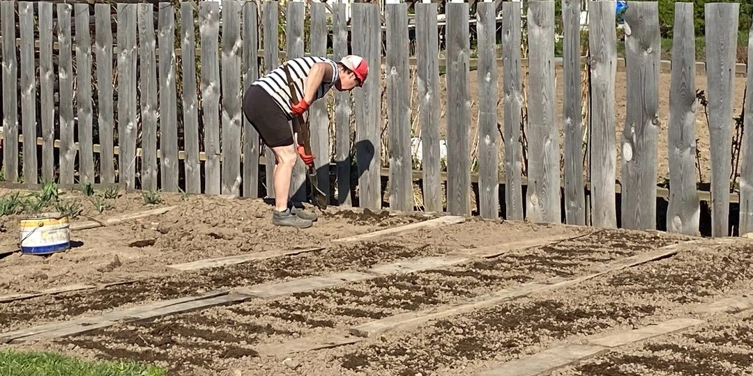 Всего 1 стакан этого средства, и земля станет как пух: урожай вырастет сам без прополки