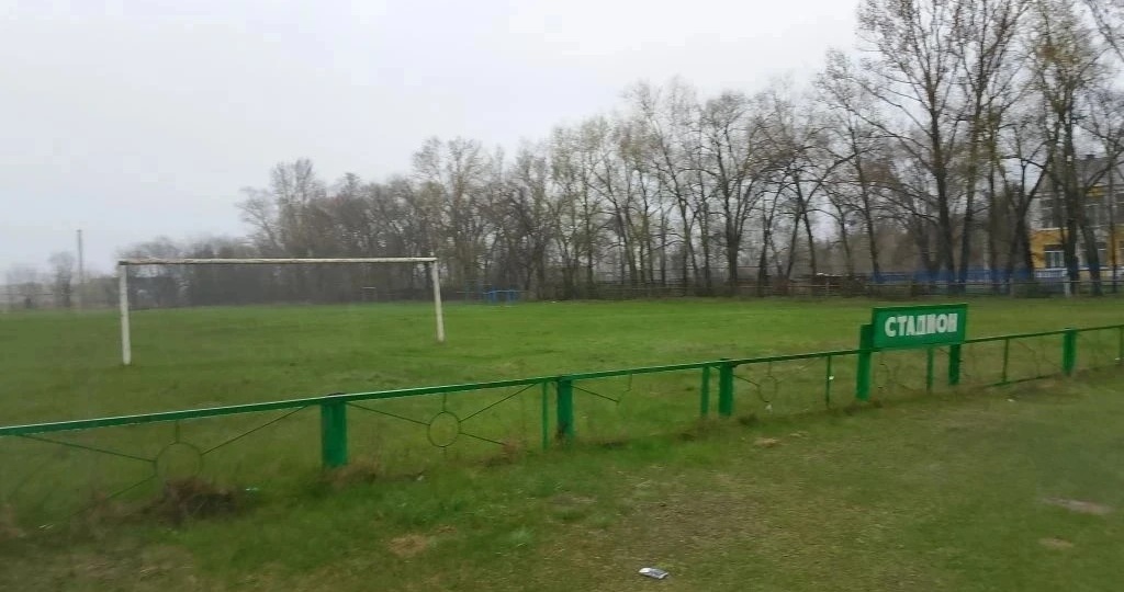 В реанимацию Сызрани срочно доставили 7-летнего школьника: на теле мальчика раны и укусы