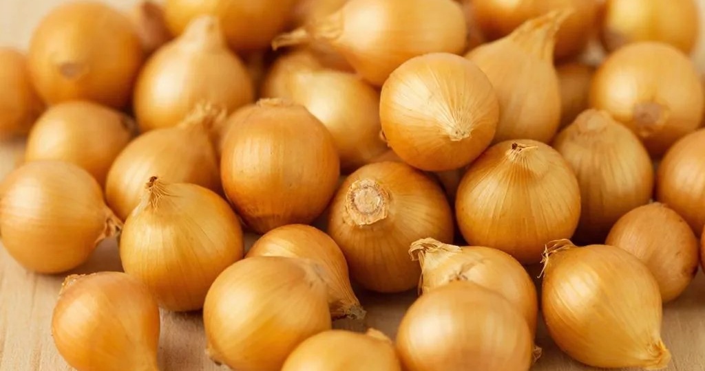 Как посадить лук, чтобы не было стрелок