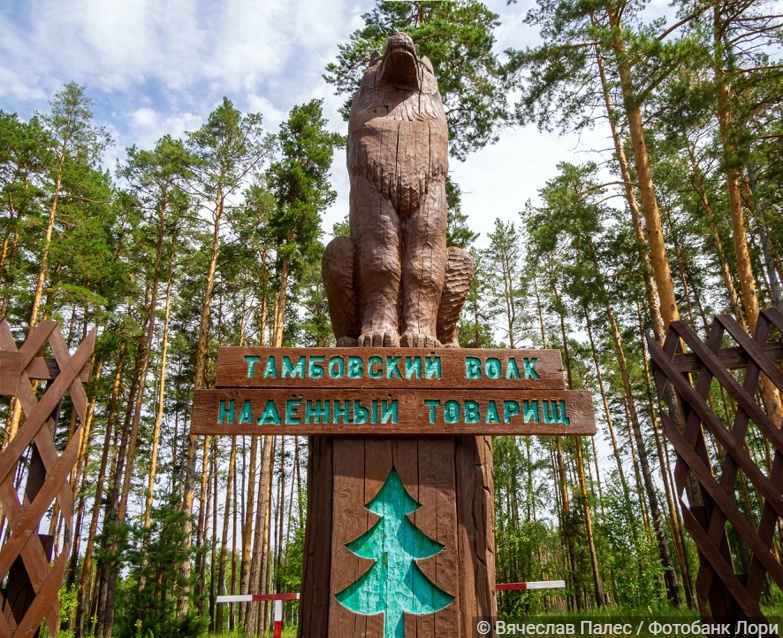 Жанровая скульптура "Тамбовский волк - надежный товарищ" на въезде в город