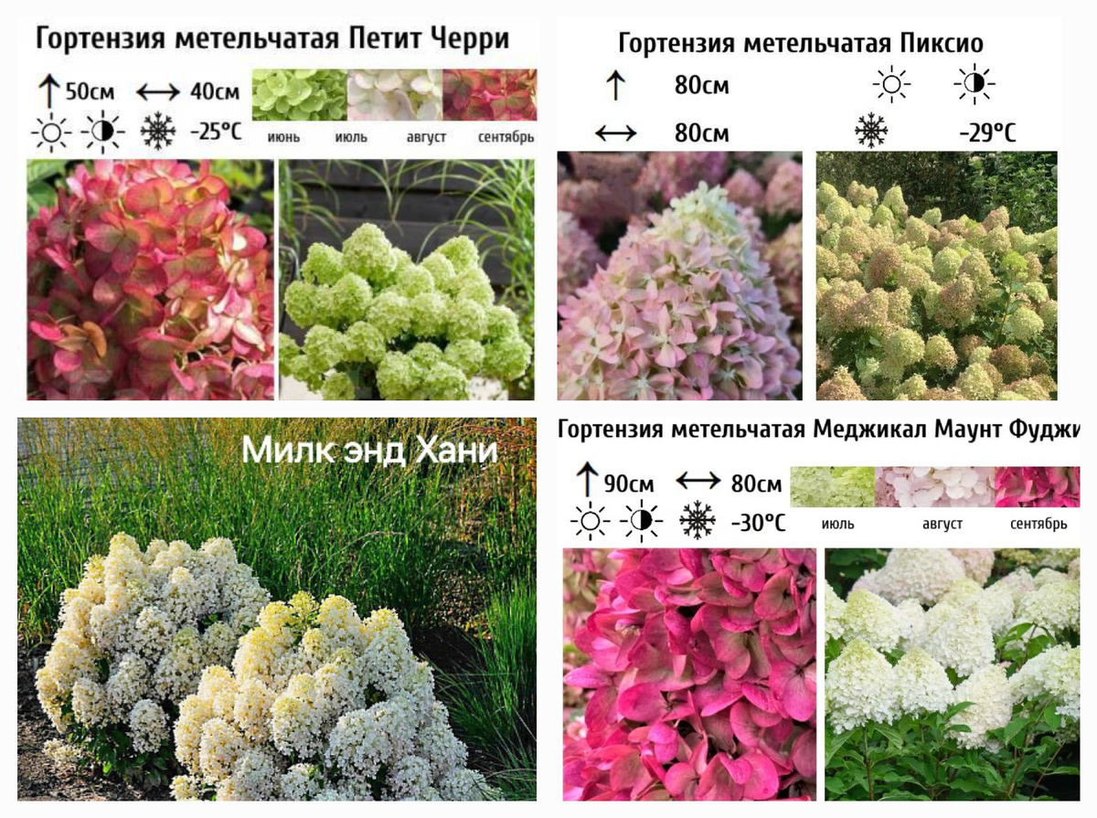 Фото из интернета.