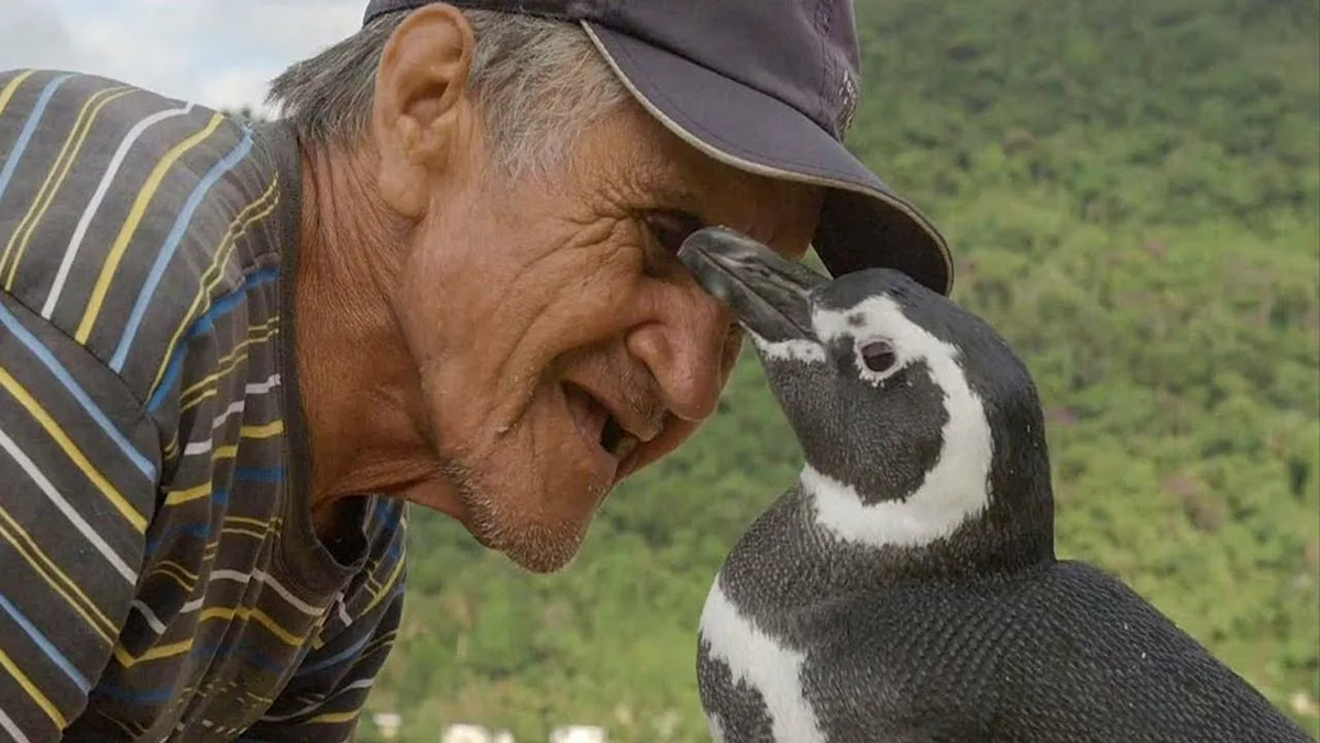 Яндекс.Картинки