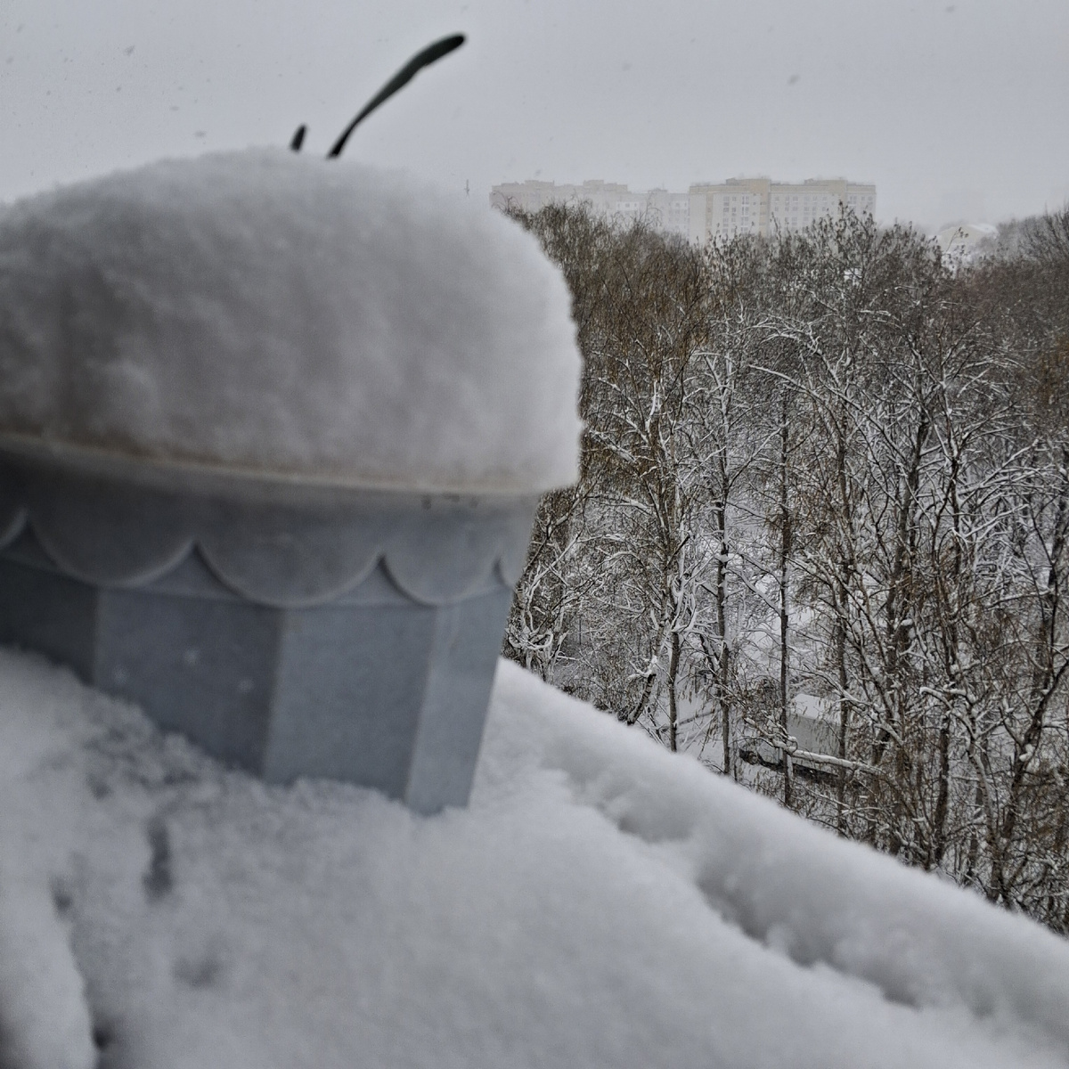 Собираю снег с карниза для удобрения домашних цветов. Фото автора. 