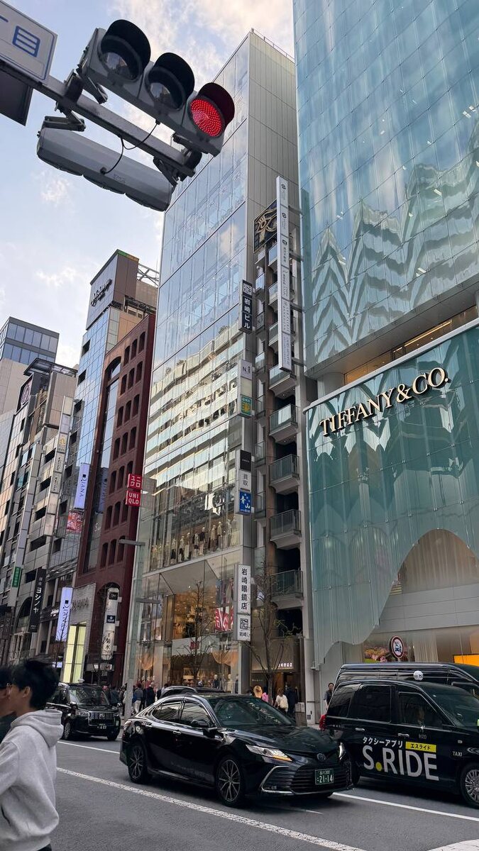 Токио: бешеный ритм и дзен-спокойствие