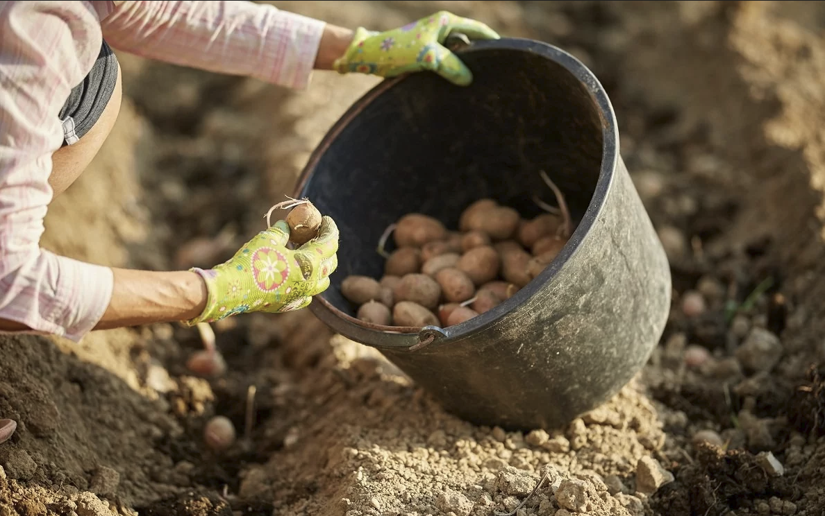 фото из открытого источника