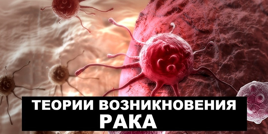 Как возникает рак: современные теории, от генетических мутаций до митохондриальной дисфункции