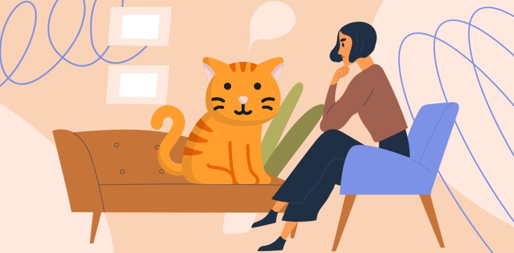 Зоопсихологические методы разрабатывались под «классических» кошек и не совсем корректно работают с социально-ориентированными породами