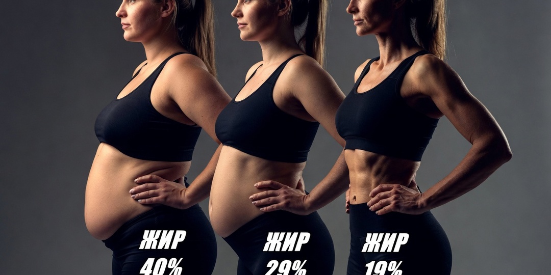 Возможно ли похудеть легко и сытно? Как убрать жир без сушки