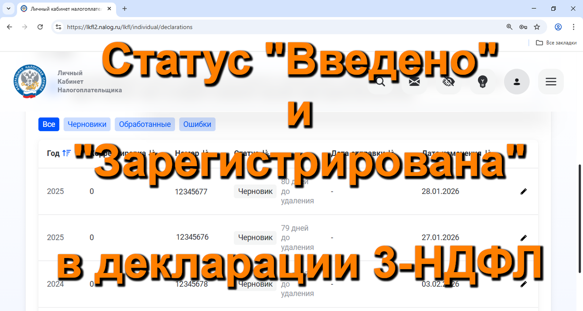 Статус Введено и Зарегистрирована в личном кабинете налогоплательщика, декларация 3-НДФЛ.
