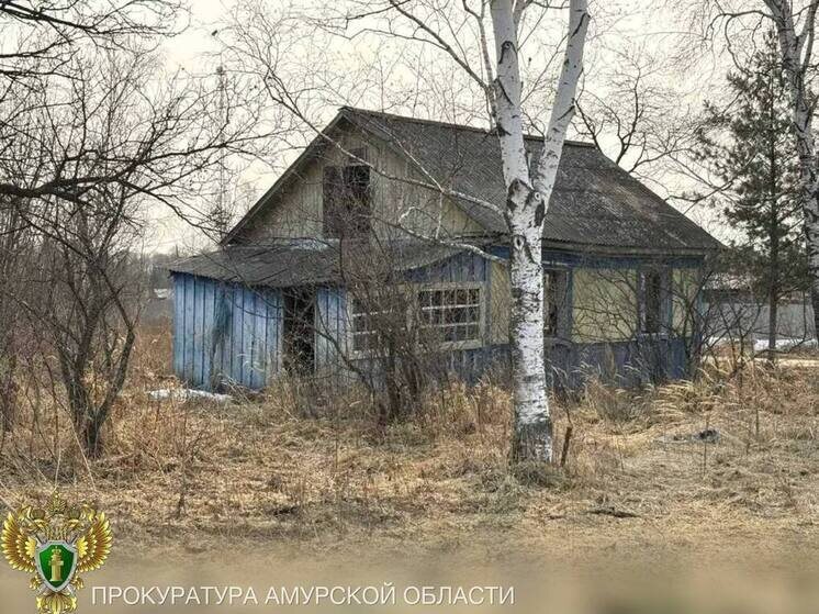     Фото: прокуратура Амурской области