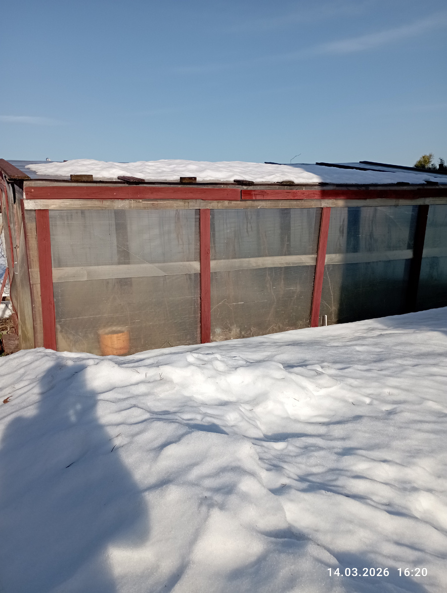 Весеннее солнышко! Фото автора.