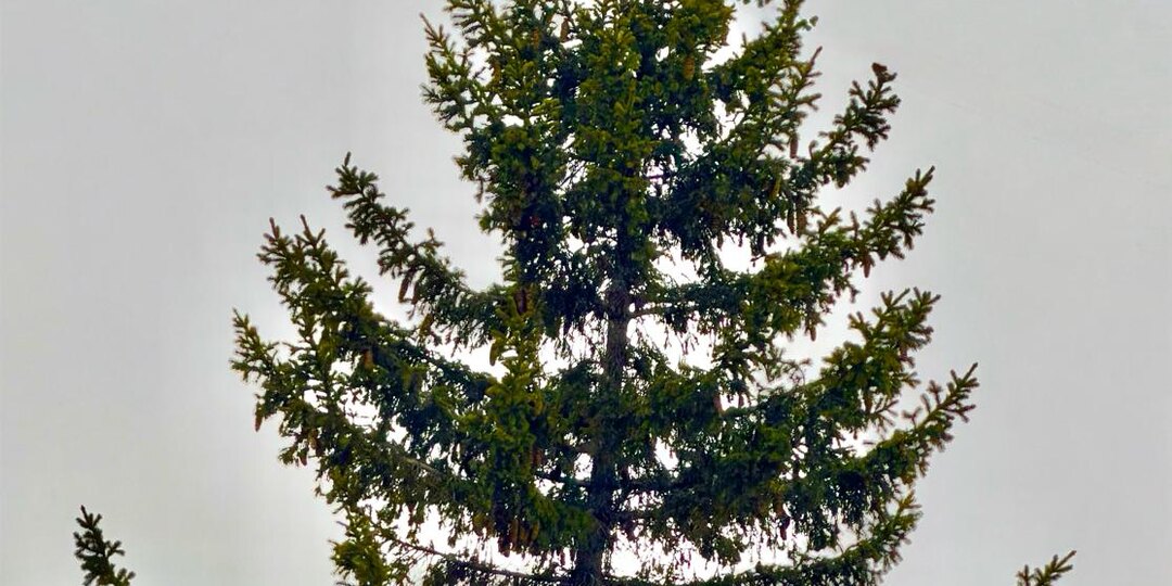 Доброе утро! Сегодня день для маленьких побед