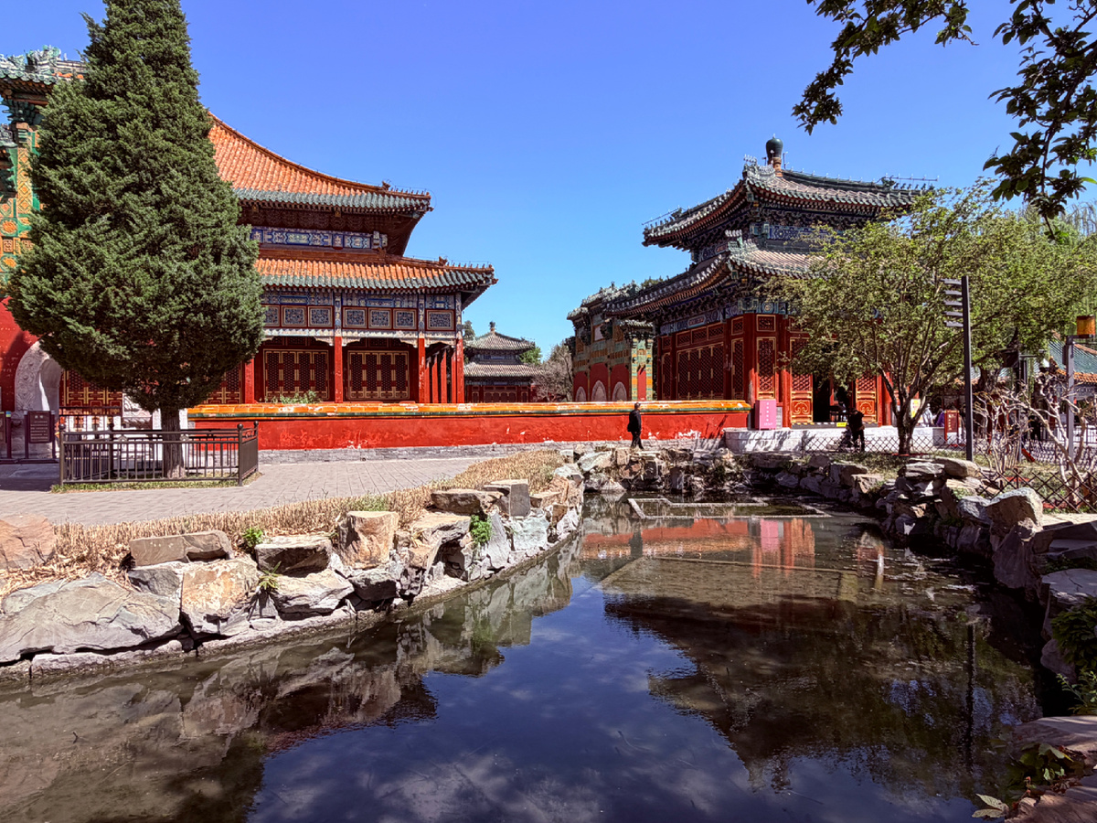 Фото автора канала Соло-путешествия