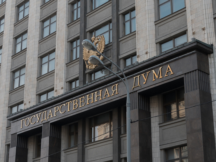    Фото: Дмитрий Каторжнов