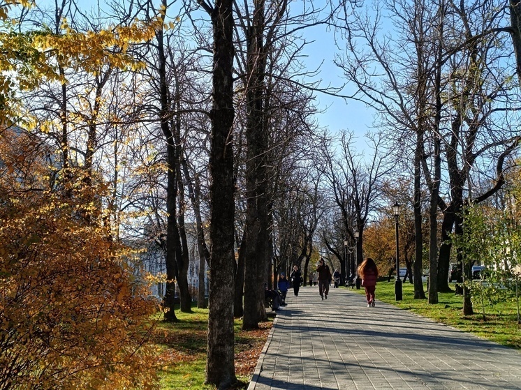     Фото: МК-Кавказ