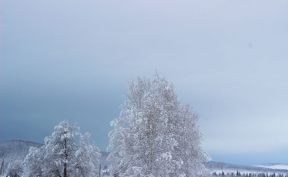 за окном ничего не меняется